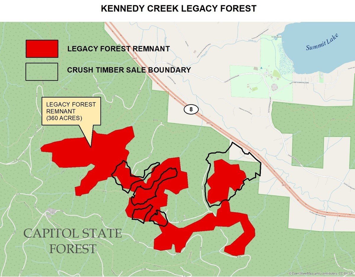 The state is proposing to sell the rights to log the areas outlined in black in an auction Nov. 16, 2021.